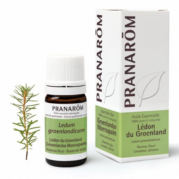 PRANAROM HUILE ESSENTIELLE LEDON DU GROENLAND 5ML PR