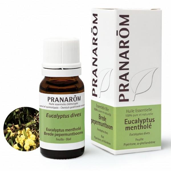 PRANAROM HUILE ESSENTIELLE EUCALYPTUS MENTHOLE 10ML PR