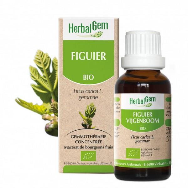 HERBALGEM GEMMOTHERAPIE FIGUIER 15ML PR