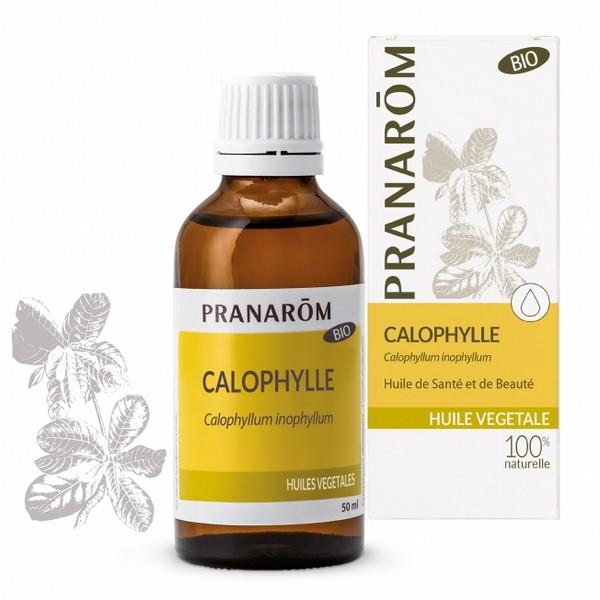 PRANAROM HUILE VEGETALE CALOPHYLLE 50ML PR