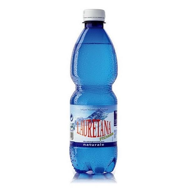 LAURETANA EAU MINERALE NATURELLE 0.5L BF