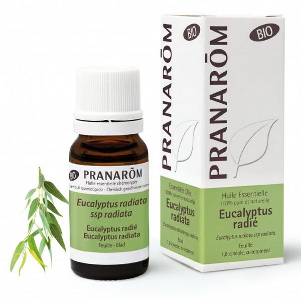 PRANAROM HUILE ESSENTIELLE EUCALYPTUS RADIE 10ML PR