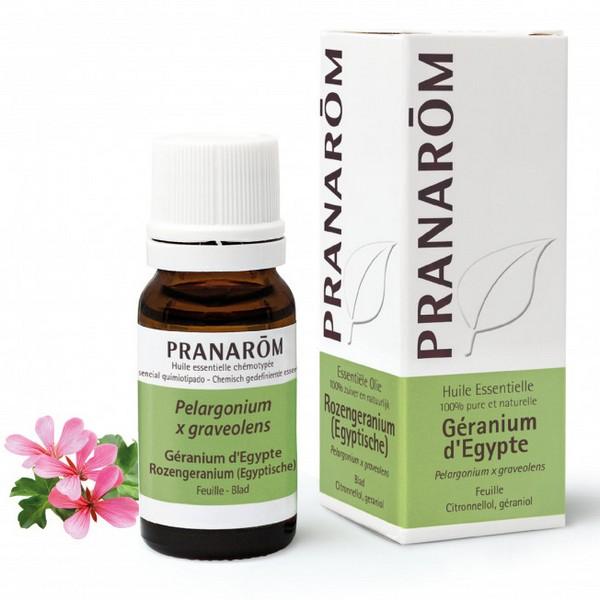 PRANAROM HUILE ESSENTIELLE GERANIUM D'EGYPTE 10ML PR