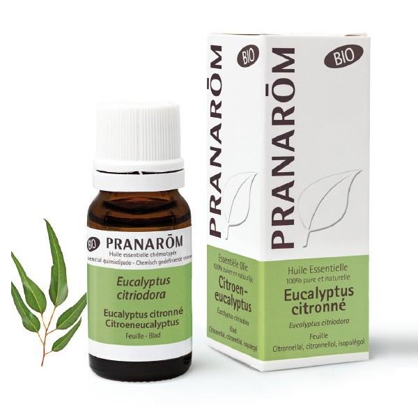 PRANAROM HUILE ESSENTIELLE EUCALYPTUS CITRONNE 10ML PR