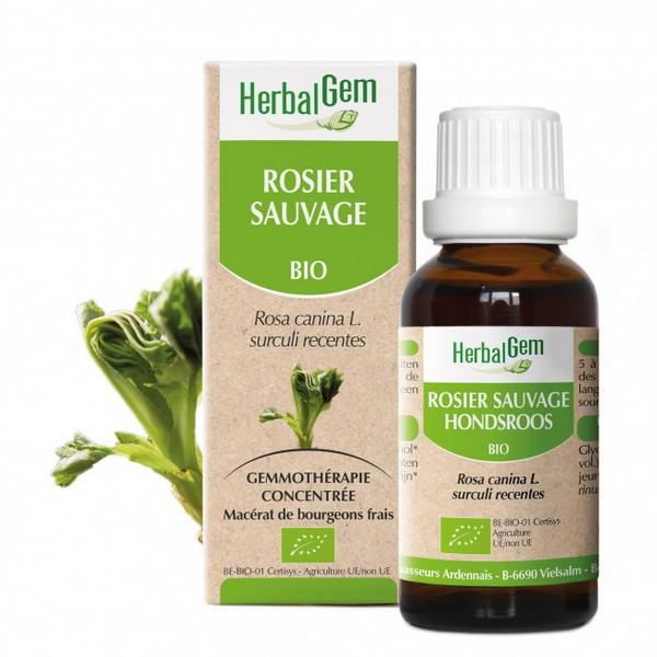 HERBALGEM GEMMOTHERAPIE ROSIER SAUVAGE 50ML PR