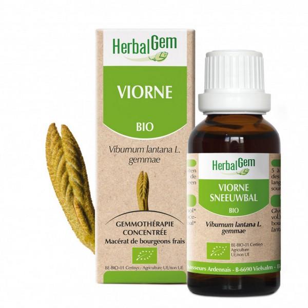 HERBALGEM GEMMOTHERAPIE VIORNE 15ML PR