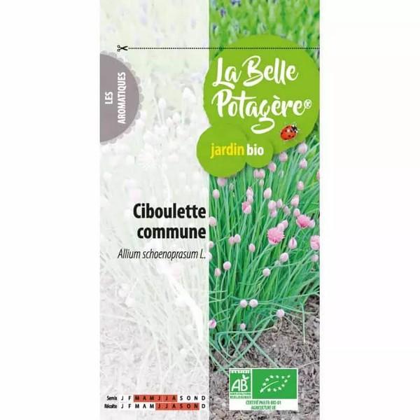 LA BELLE POTAGERE CIBOULETTE COMMUNE 0.5GR ED