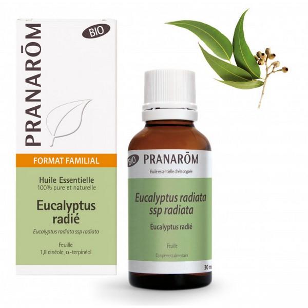 PRANAROM HUILE ESSENTIELLE EUCALYPTUS RADIE 30ML PR