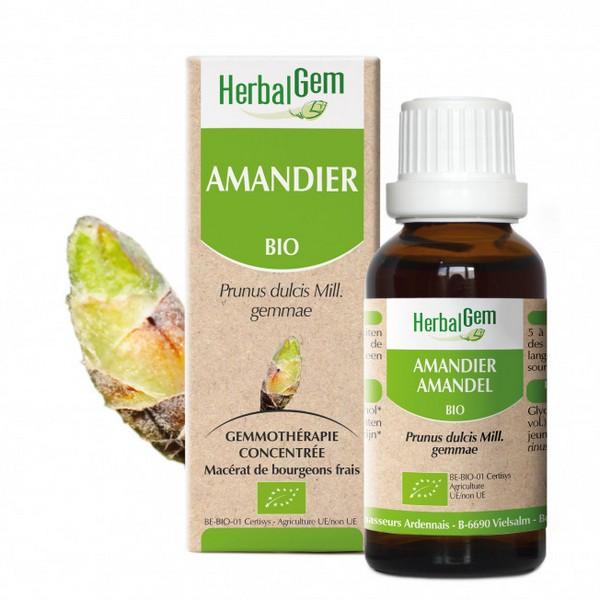 HERBALGEM GEMMOTHERAPIE AMANDIER 15ML PR