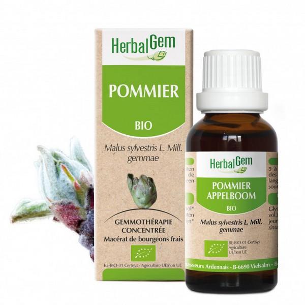 HERBALGEM GEMMOTHERAPIE POMMIER 15ML PR