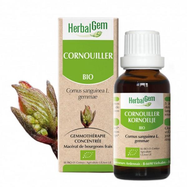 HERBALGEM GEMMOTHERAPIE CORNOUILLER 15ML PR