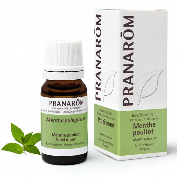 PRANAROM HUILE ESSENTIELLE MENTHE POULIOT 10ML PR