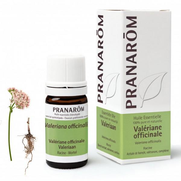 PRANAROM HUILE ESSENTIELLE VALERIANE OFFICINALE 5ML PR