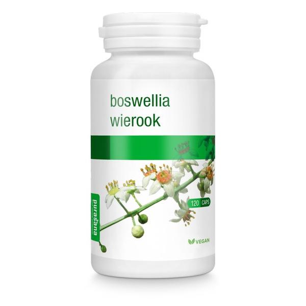 PURASANA BOSWELLIA 100X CAPSULES BV