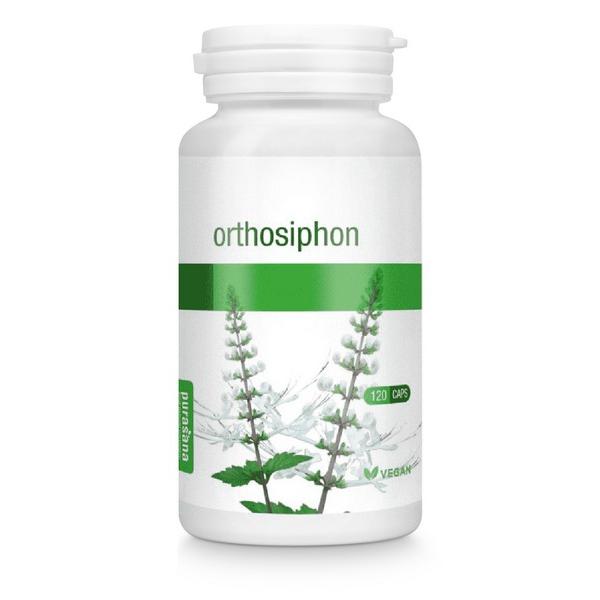 PURASANA ORTHOSIPHON 120X CAPSULES BV