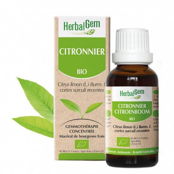 HERBALGEM GEMMOTHERAPIE CITRONNIER 15ML PR