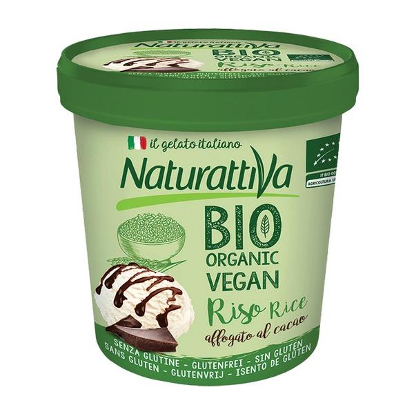 NATURATTIVA GLACE AU RIZ VANILLE & CHOCOLAT 300GR MR6