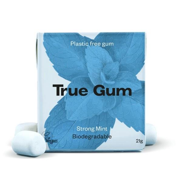 TRUE GUM CHEWING-GUM MENTHE 21GR HY24