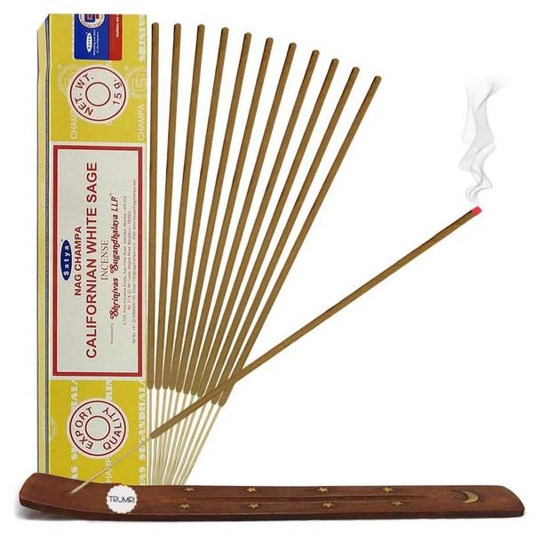 SATYA ENCENS NAG CHAMPA ENCENS SAUGE BLANCHE DE CALIFORNIE 15GR EI