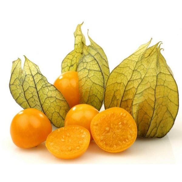 PHYSALIS FRAIS (PCE) PE