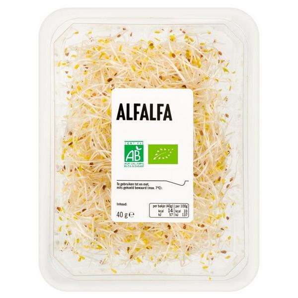 GERME ALFALFA (PCE) NL