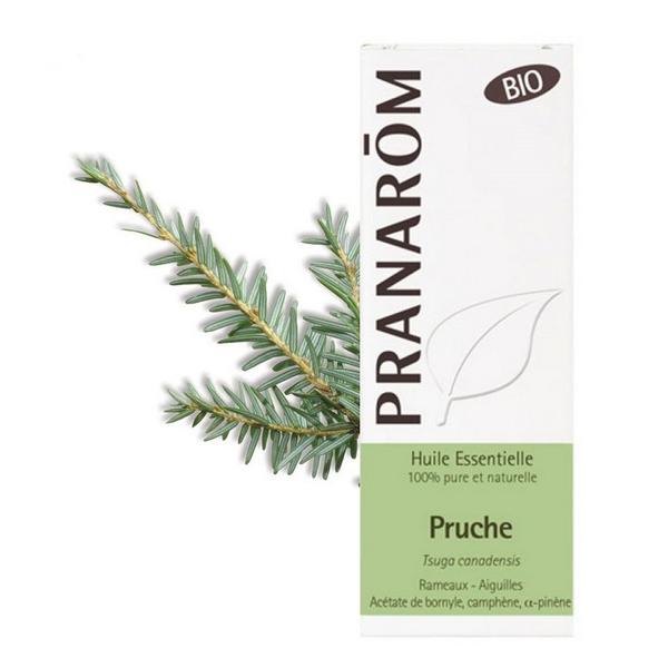 PRANAROM HUILE ESSENTIELLE PRUCHE 5ML PR