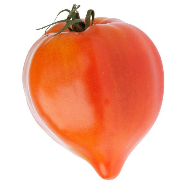 TOMATE COEUR DE BOEUF (KG) FR