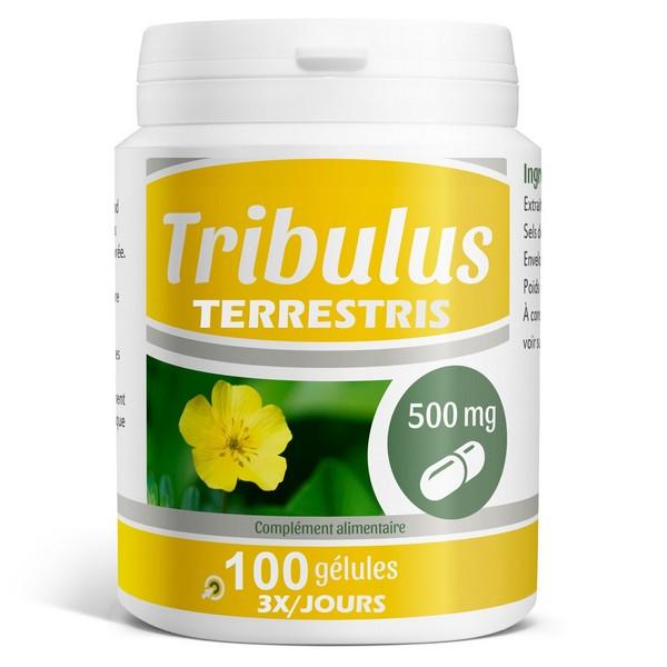 TRIBULUS TERRESTRIS TONIQUE MASCULAIN 500MG 100X GEL SF