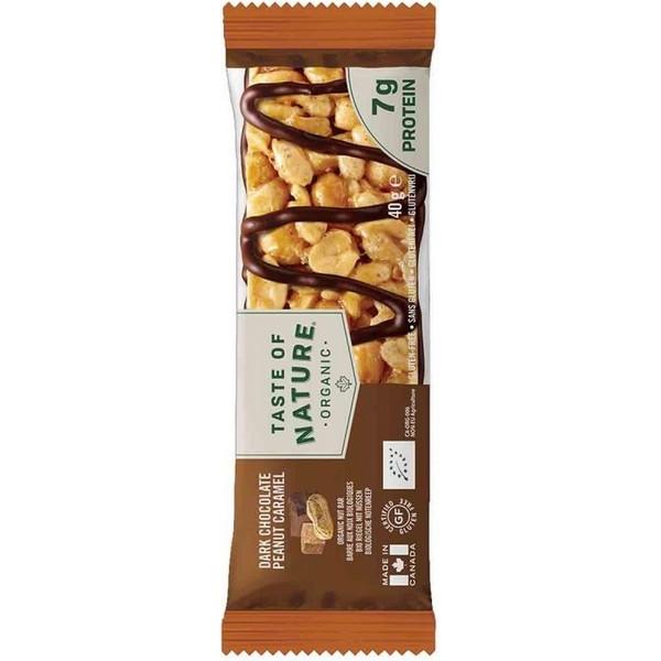 TASTE OF NATURE BARRE CHOCOLAT NOIR CARAMEL CACAHUETES 40GR MR16