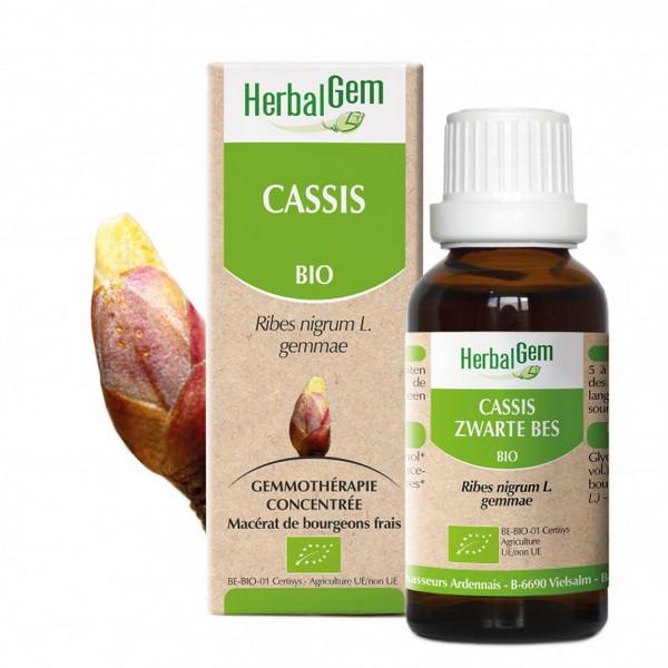 HERBALGEM GEMMOTHERAPIE CASSIS 30ML PR