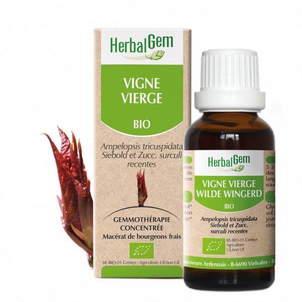 HERBALGEM GEMMOTHERAPIE VIGNE VIERGE 30ML PR