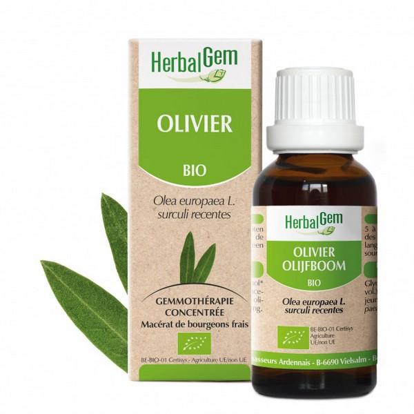 HERBALGEM GEMMOTHERAPIE OLIVIER 30ML PR