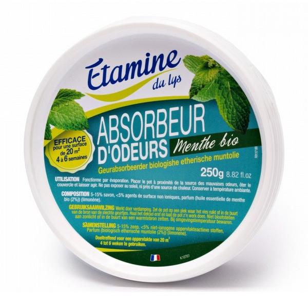 ETAMINE ABSORBEUR D'ODEURS MENTHE 250GR DB3