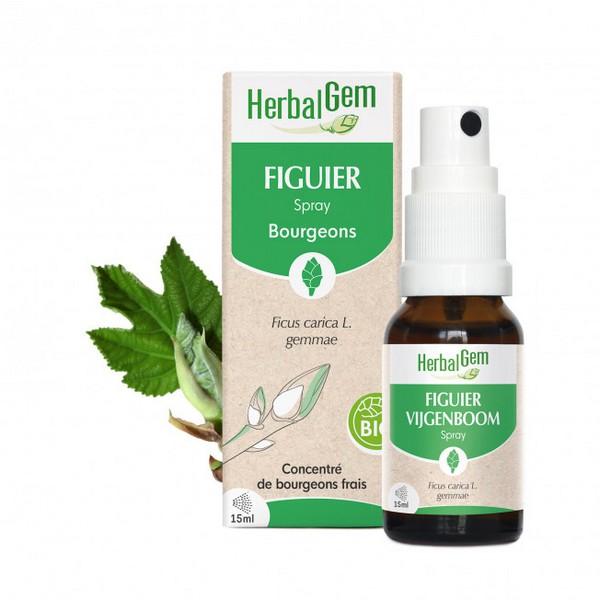 HERBALGEM GEMMOTHERAPIE FIGUIER SPRAY 15ML PR