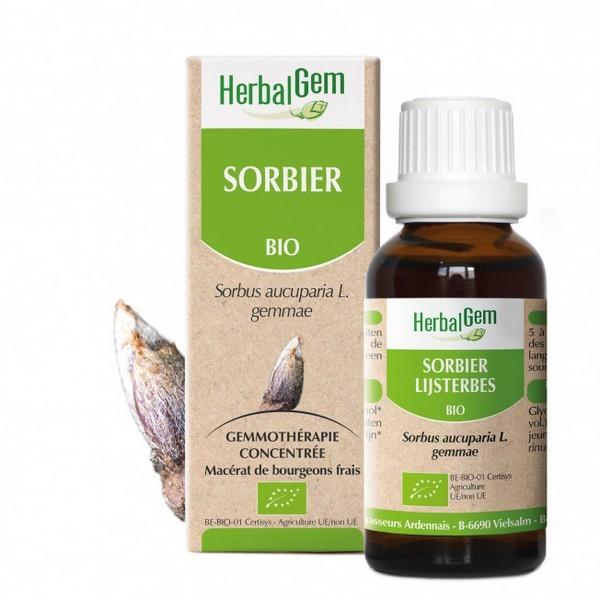 HERBALGEM GEMMOTHERAPIE SORBIER 30ML PR