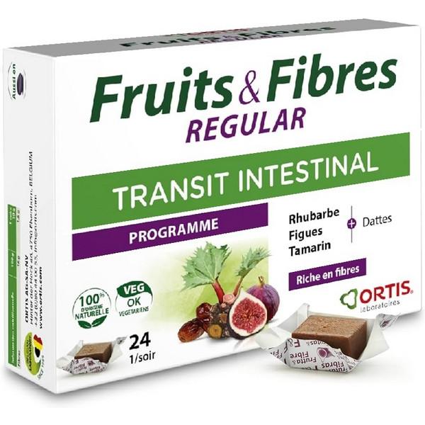 ORTIS FRUITS & FIBRES TRANSIT INTERSTINAL 24X CUBES REGULAR MR1