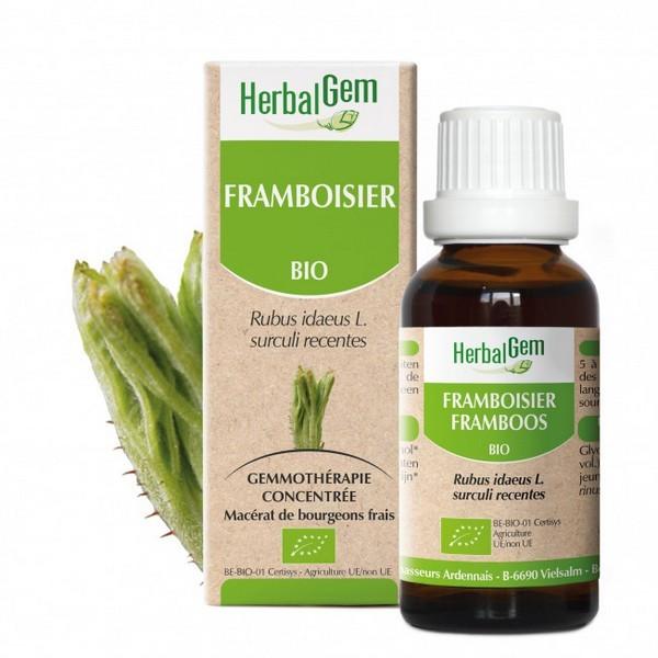 HERBALGEM GEMMOTHERAPIE FRAMBOISIER 30ML PR