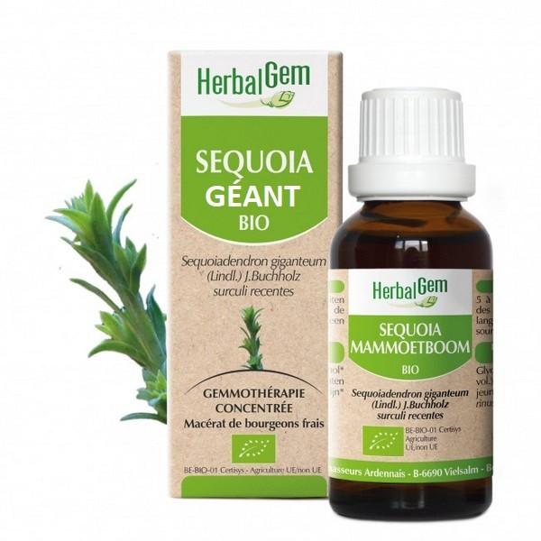 HERBALGEM GEMMOTHERAPIE SEQUOIA GEANT 30ML PR